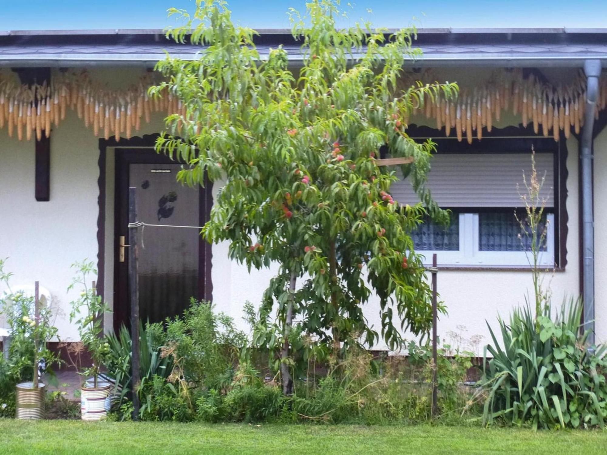 Bungalow in Lübben with parking space Exterior foto